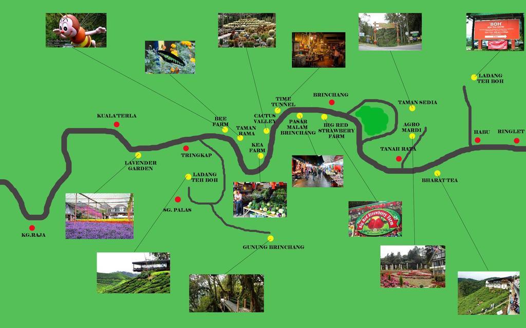 Homestay Cameron Highlands Mikayla Экстерьер фото